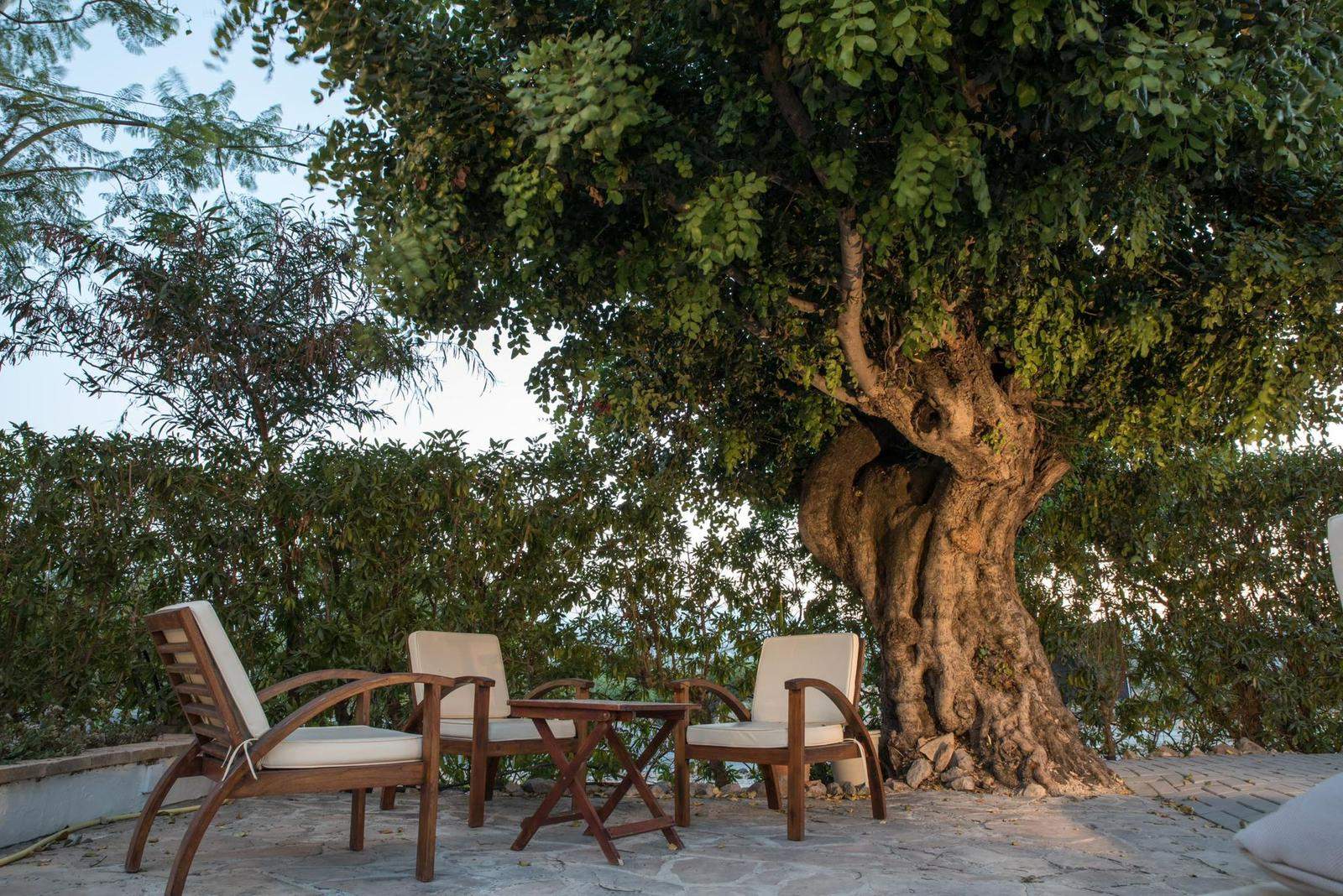 Konsolidiertes Restaurant + Wohnung darüber – Jávea (Costa Blanca Nord)