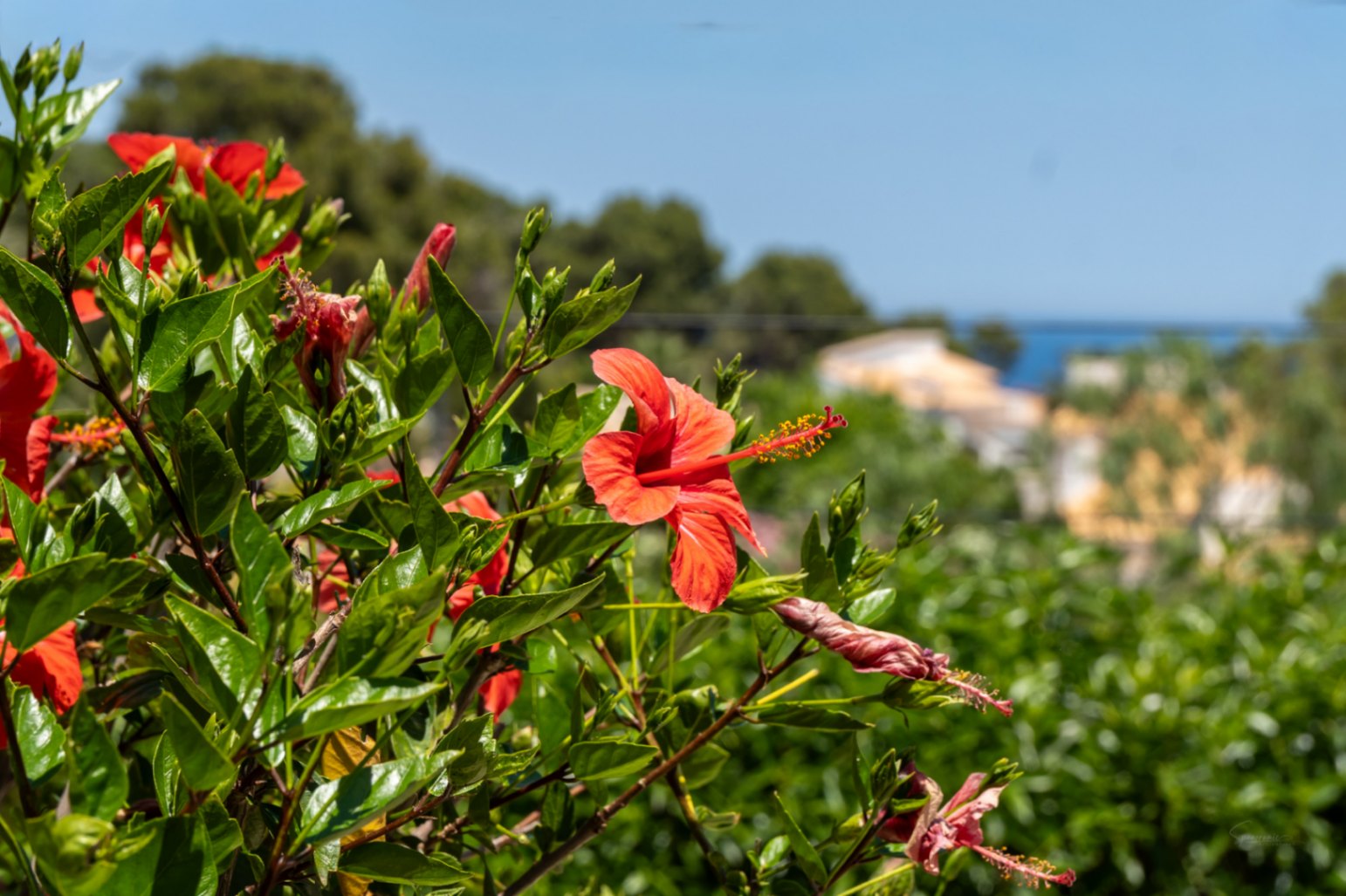 Exceptional property in an exclusive area with panoramic sea views. - Imagen 59